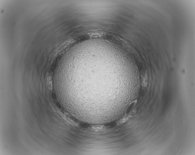 X0000070200666200606161617