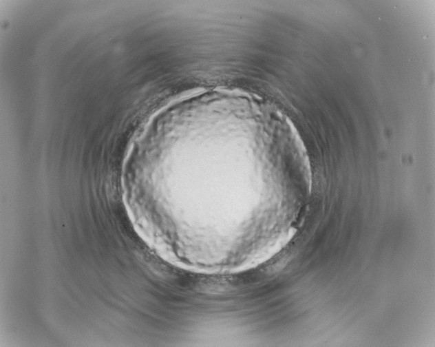 X0000070200671200606161618