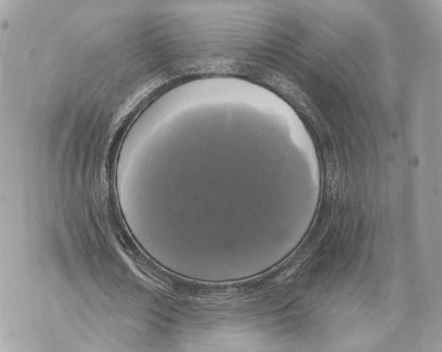 X0000070200674200606161617