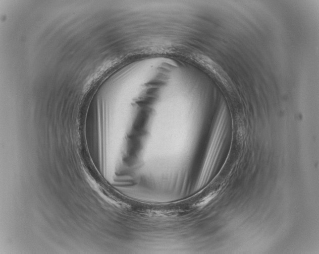 X0000070200677200606161617