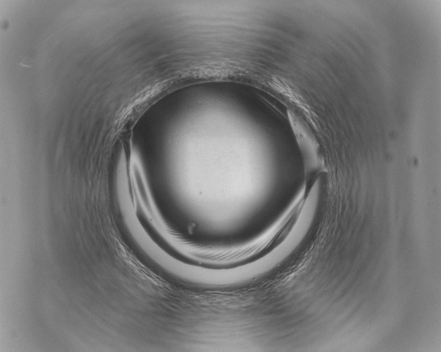 X0000070200681200606161617