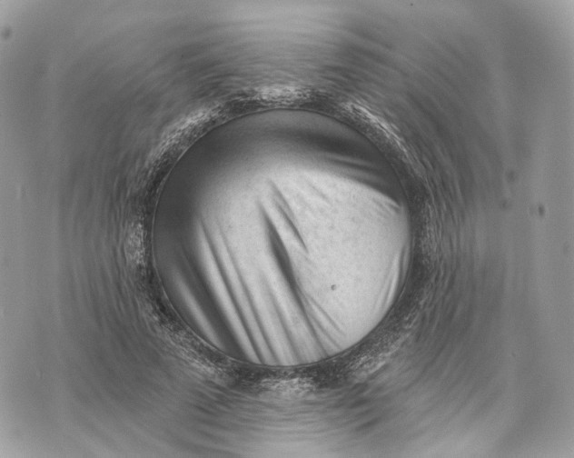 X0000070200689200606161617