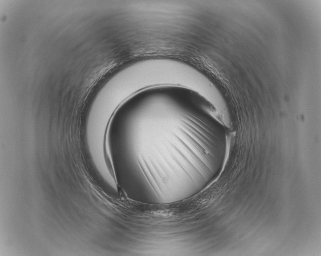 X0000070200692200606161616