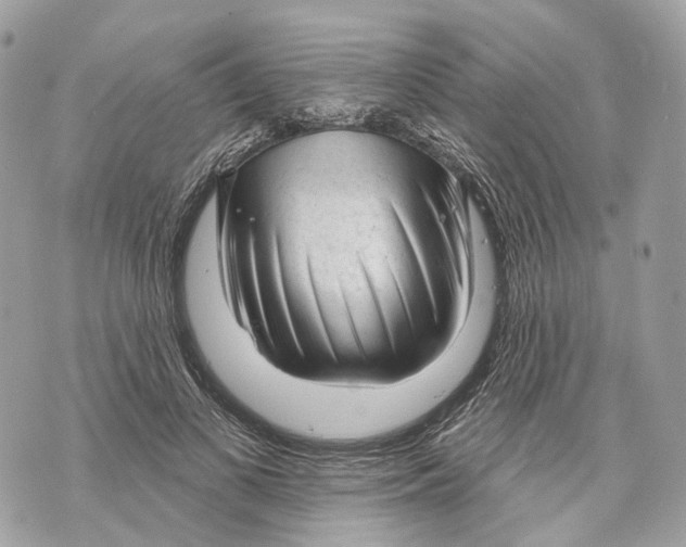 X0000070200693200606161616