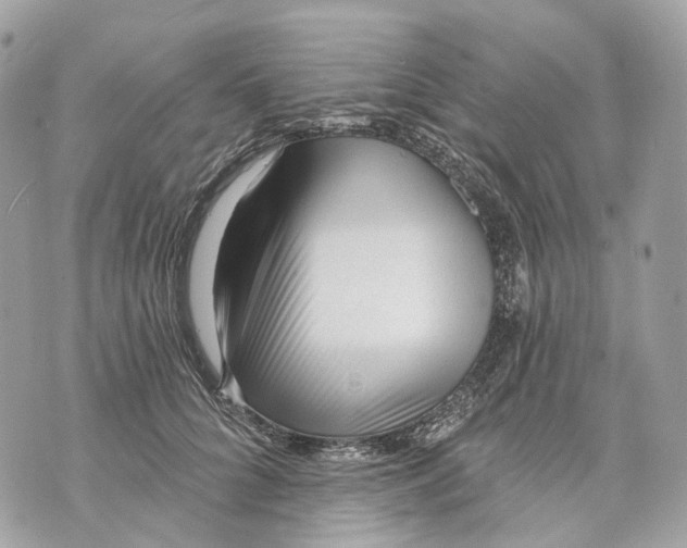 X0000070200704200606161616