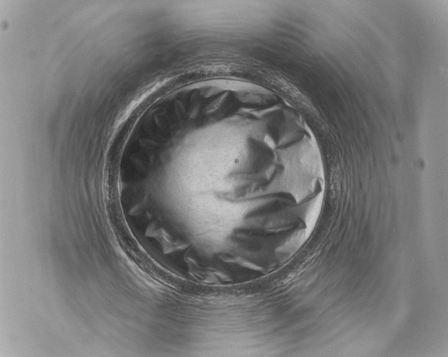 X0000070200722200606161615