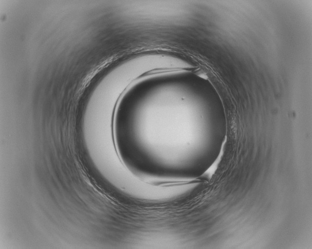 X0000070200732200606161615