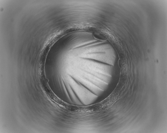X0000070200736200606161615
