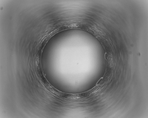 X0000070200747200606161616