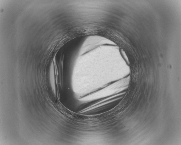 X0000070200748200606161616