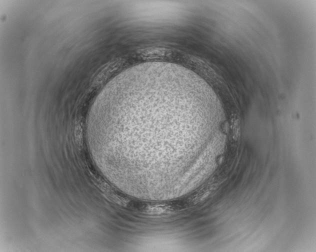 X0000070200753200606161616