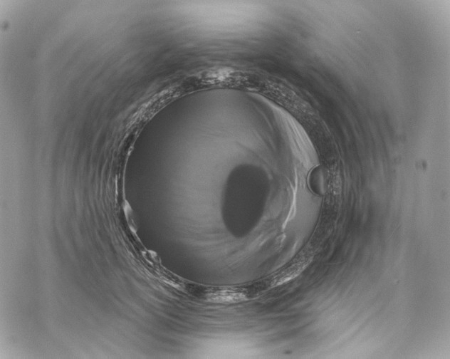 X0000070200754200606161616