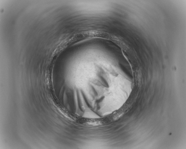 X0000070200760200606161616