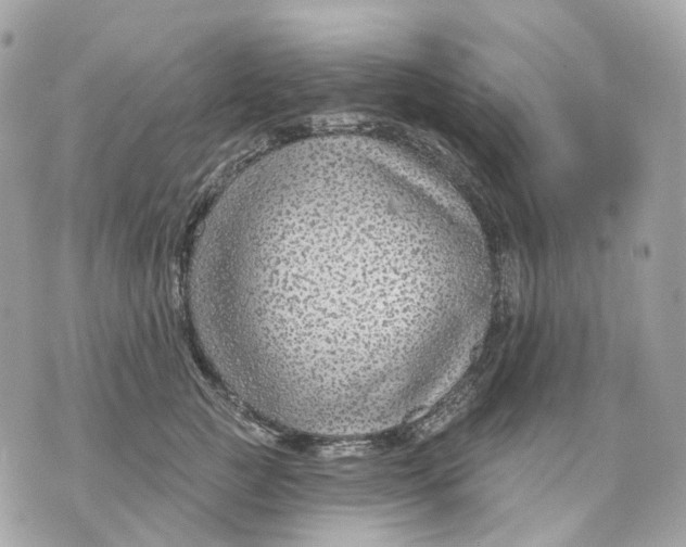 X0000070200761200606161616
