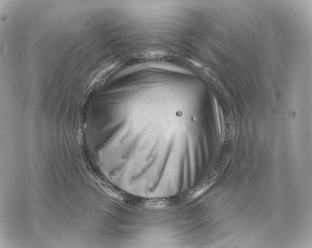 X0000070200762200606161616