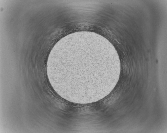 X0000070200769200606161615