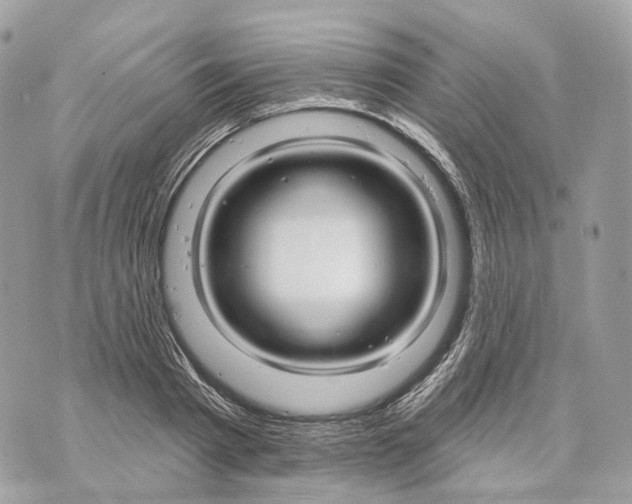 X0000070200793200606161615