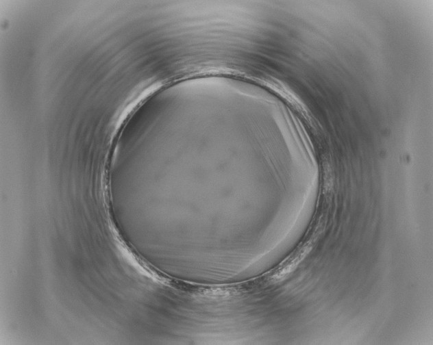 X0000070200806200606161615