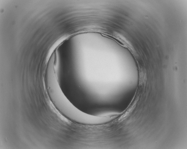 X0000070200812200606161615