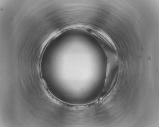 X0000070200813200606161615