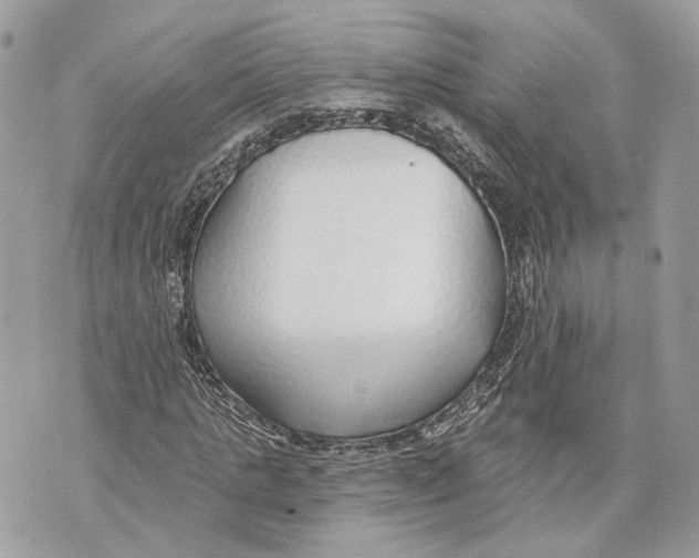 X0000070200821200606161614