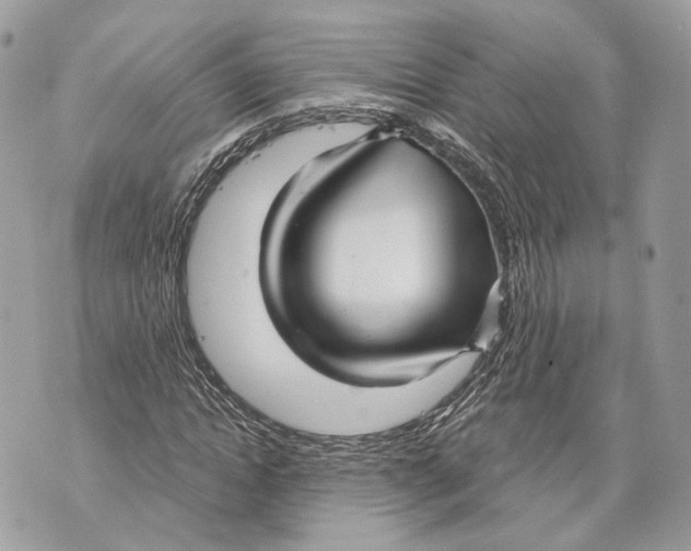 X0000070200822200606161614