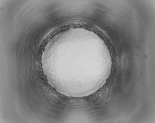 X0000070200823200606161614