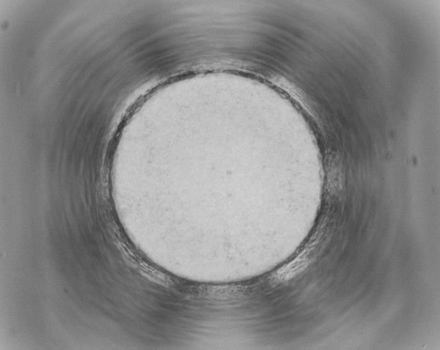 X0000070200832200606161614