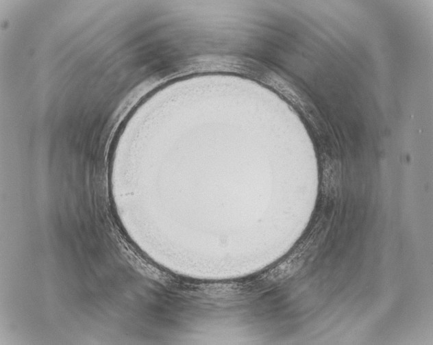 X0000070200836200606161614