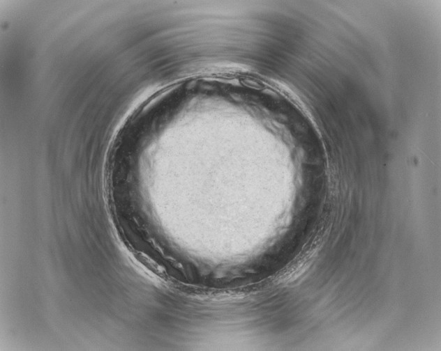 X0000070200851200606161614