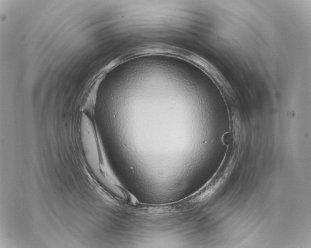 X0000070200857200606161614