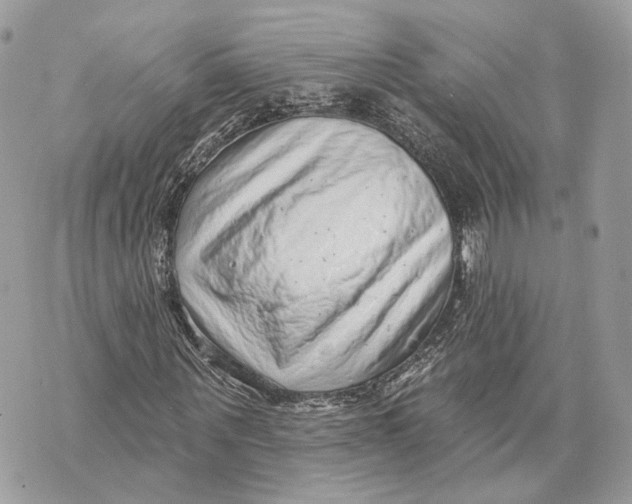 X0000070200867200606161614