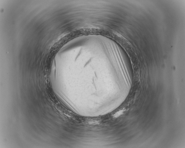 X0000070200870200606161614