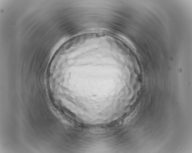 X0000070200907200606161613