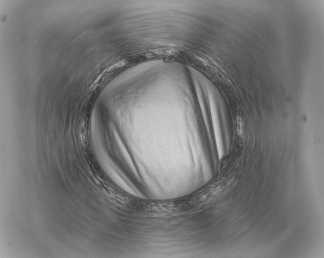 X0000070200915200606161612