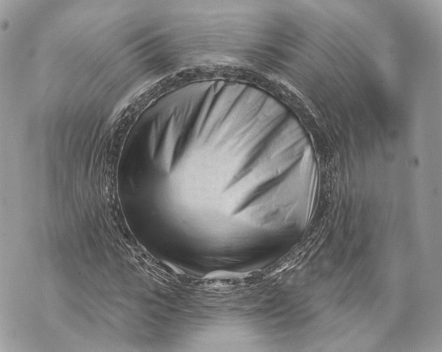 X0000070200919200606161612