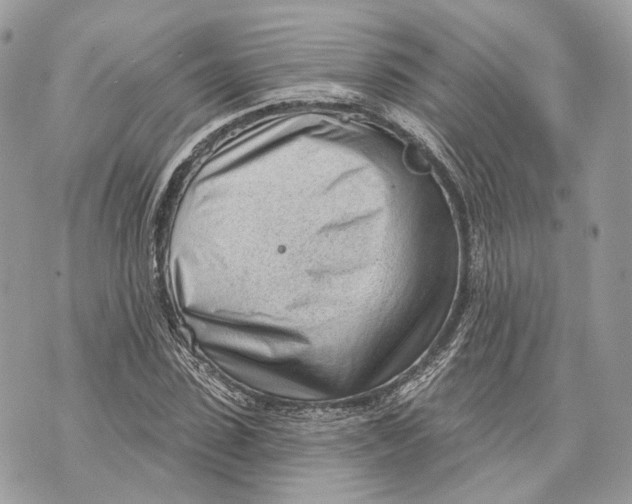 X0000070200923200606161612