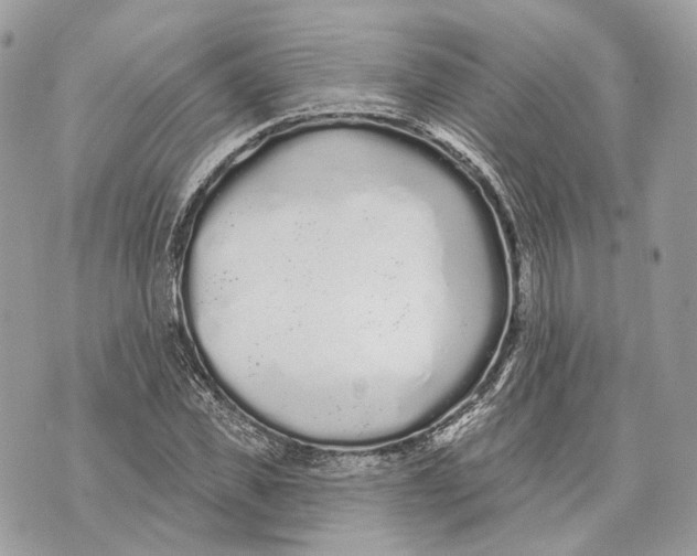 X0000070200925200606161612