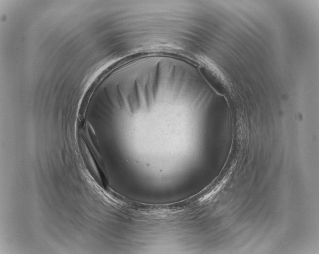 X0000070200932200606161612