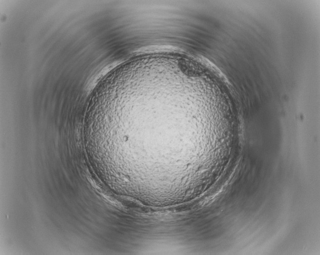 X0000070200937200606161612