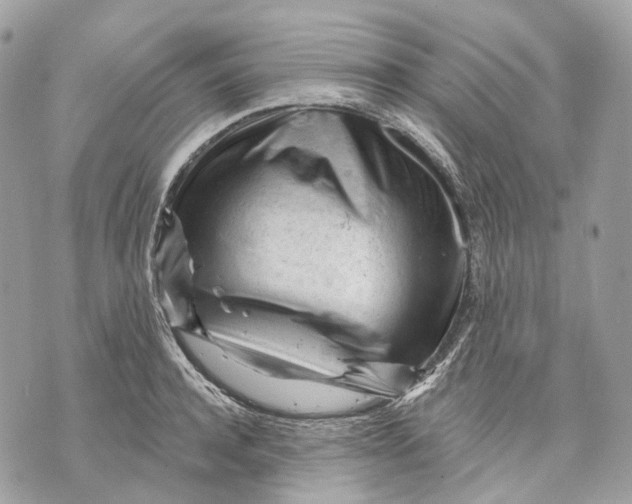 X0000070200944200606161613