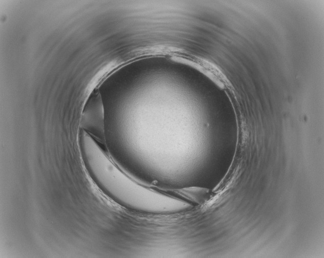 X0000070200946200606161613