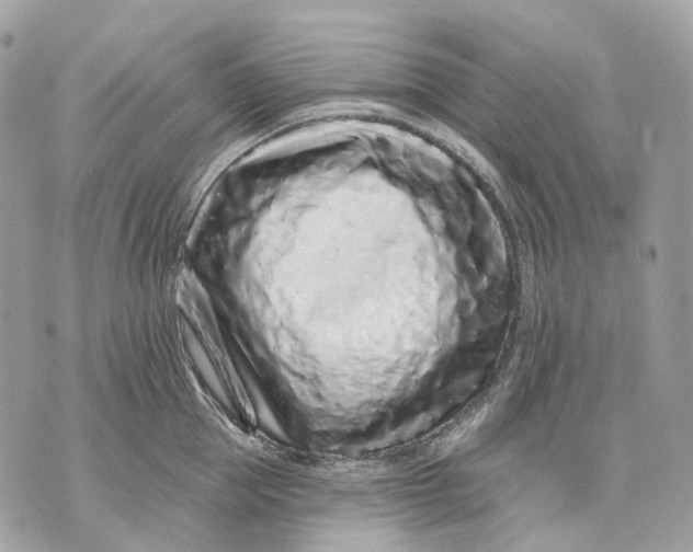 X0000070200953200606161613