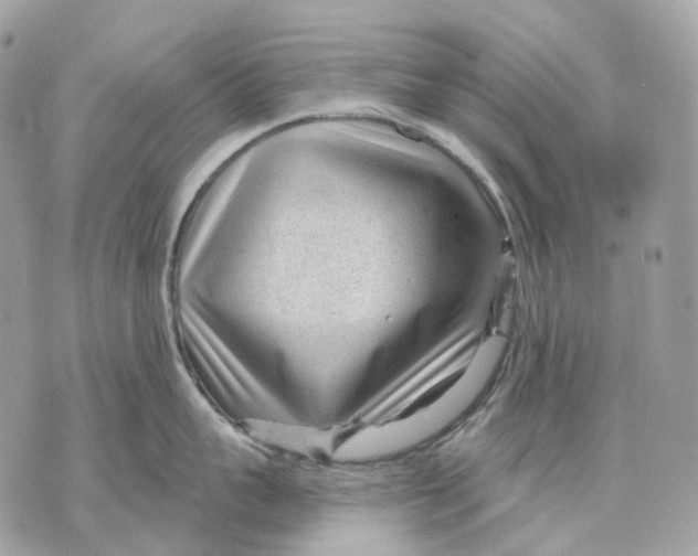 X0000070200959200606161613