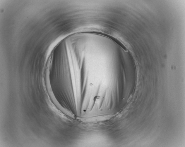 X0000070200960200606161613
