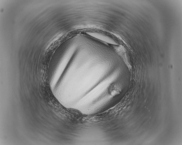 X0000070200967200606161612