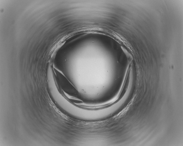 X0000070200985200606161612