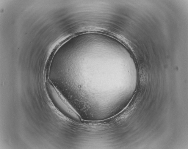 X0000070200987200606161612