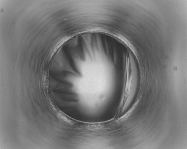 X0000070201001200606161611
