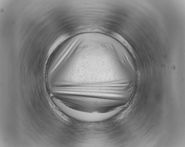 X0000070201002200606161611